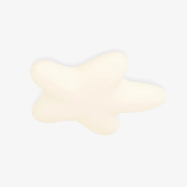 Starfish Ceiling Lamp 1