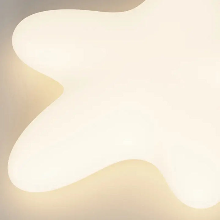 Starfish Ceiling Lamp 9