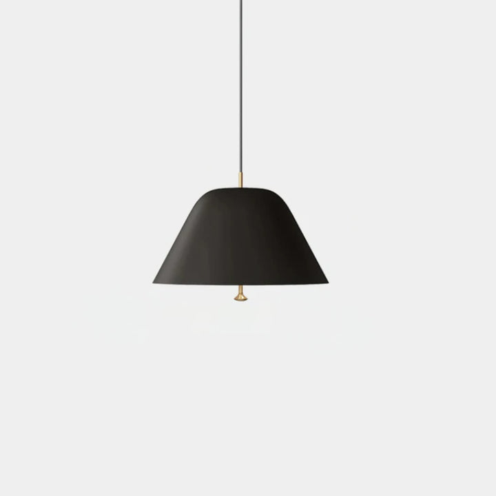 Suspended Pendant Lamp