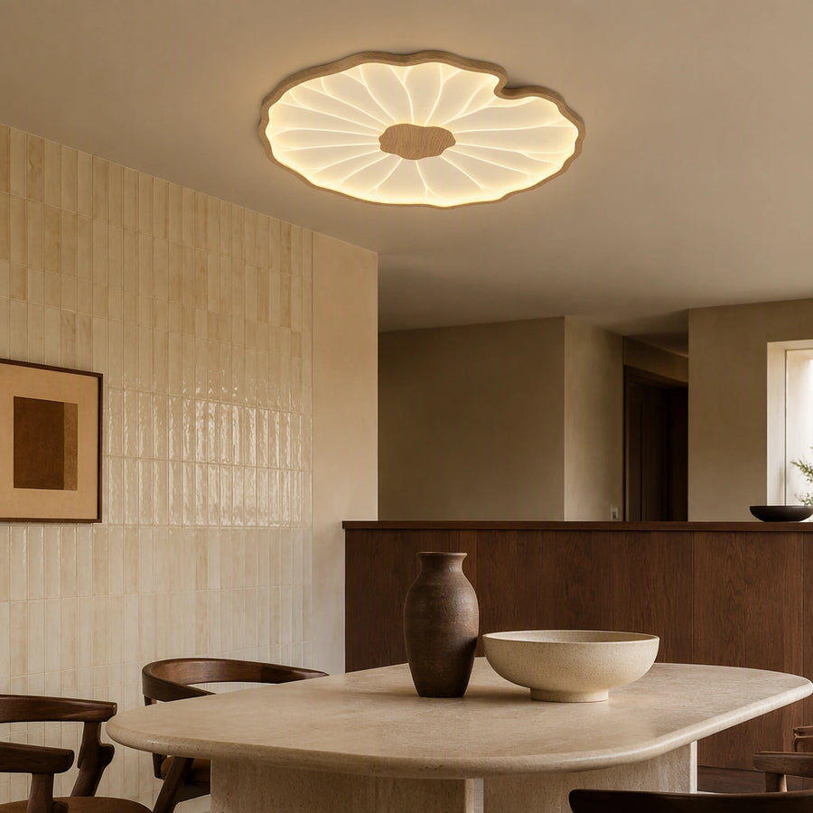 Ceiling Lights