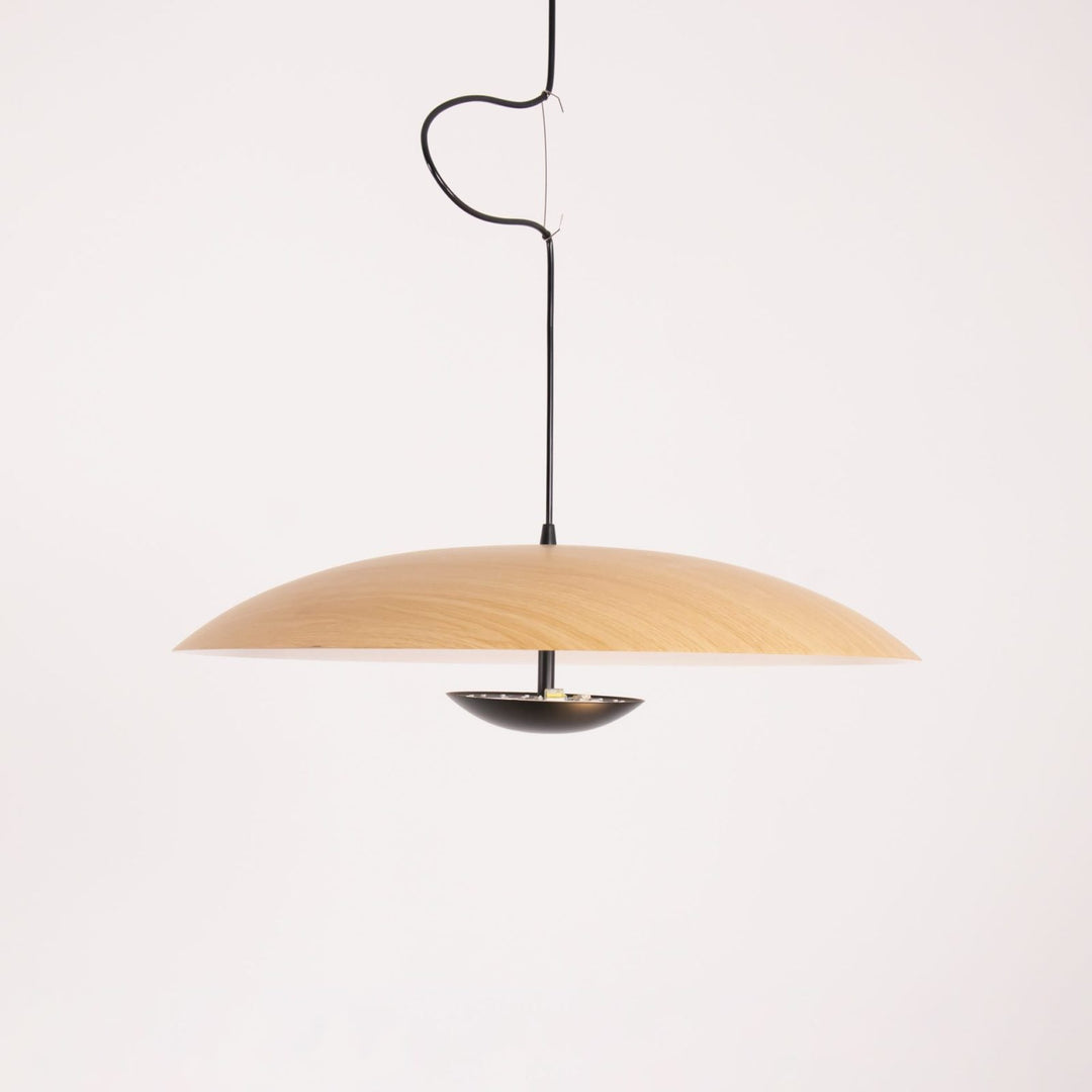 Ginger Pendant Light